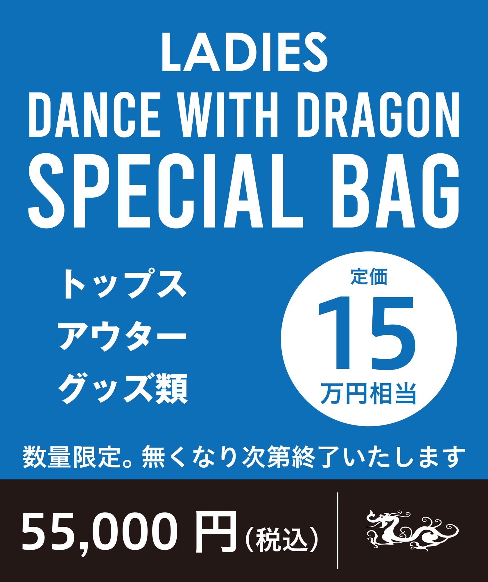 【DWD】LADIES SPECIAL BAG(LADIES-M(02))