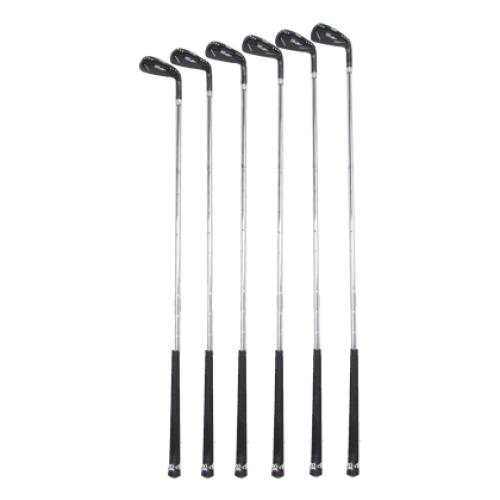 ダイナミックゴールド X100（6本セット） | ウィッツ公式オンラインストア